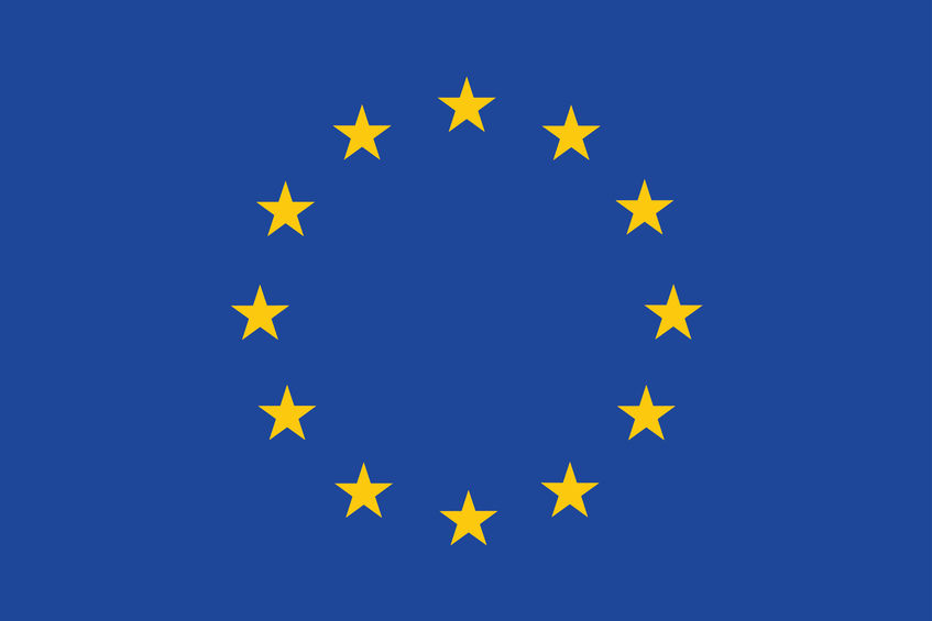 Flag Of Europe. Vector Illustration.