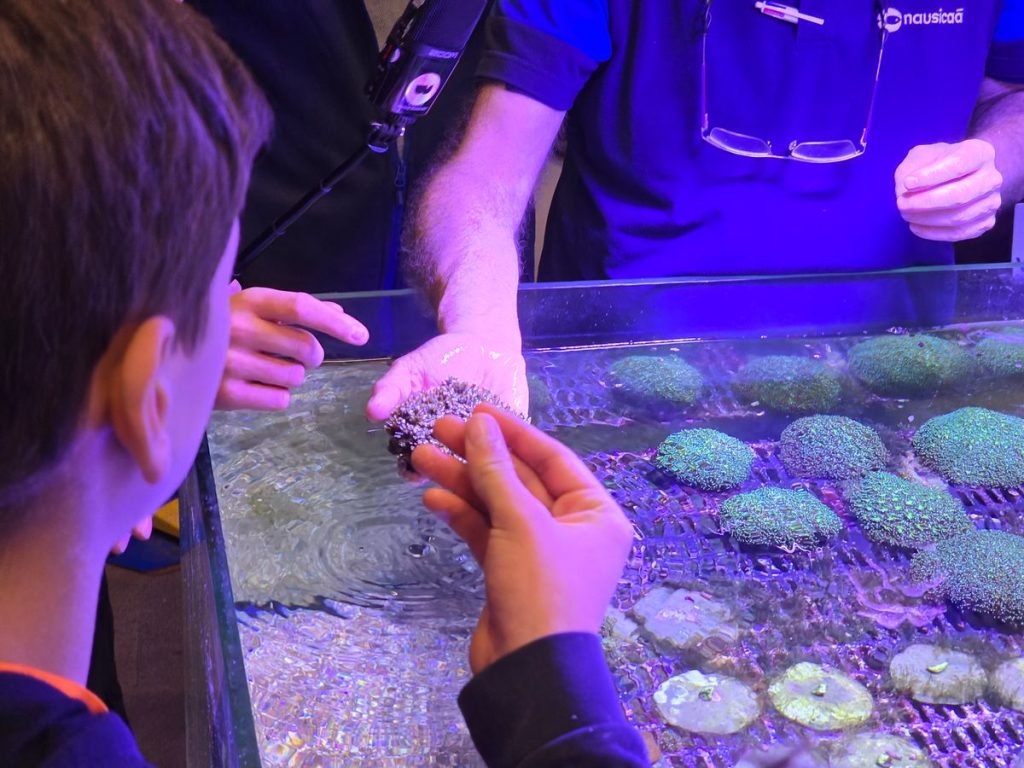 489007582 2087688718408893 8459027760663613883 N